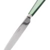 Sabre Natura Tafelmes 24 Cm Rvs Kunststof Groen 2 Sabre Natura Tafelmes 24 Cm Rvs Kunststof Groen -Bestek Verkoop Winkel 3682 1790197 1