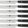 Zwilling Steakmessenset By Matteo Thun 6-delig -Bestek Verkoop Winkel 4239029 001 6 delige set