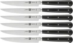 Zwilling Steakmessenset By Matteo Thun 6-delig