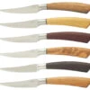 Saladini Steakmes 10 Cm Verschillende Houtsoorten 6 Stuks -Bestek Verkoop Winkel 6755 52067 1