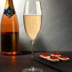 Bestek Verkoop Winkel -Bestek Verkoop Winkel nude dimple champagneglas 300 ml kristalglas 2 stuks 2